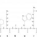 Ilustración 7 de Análogos peptídicos de la hormona estimulante de alfa-melanocitos