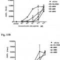 Ilustración 11 de Análogos peptídicos de la hormona estimulante de alfa-melanocitos