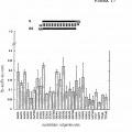 Ilustración 10 de Interferencia de RNA mediadora de moléculas pequeñas de RNA