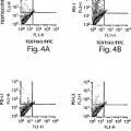 Ilustración 4 de Células madre mesenquimales positivas para ABCB5 como moduladoras de inmunidad