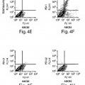 Ilustración 5 de Células madre mesenquimales positivas para ABCB5 como moduladoras de inmunidad