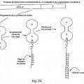 Ilustración 12 de Método para medir la afinidad de biomoléculas