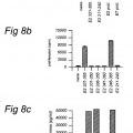 Ilustración 2 de Péptidos largos de 22-45 residuos de aminoácidos que inducen y/o mejoran las respuestas inmunológicas específicas para antígenos
