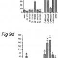 Ilustración 4 de Péptidos largos de 22-45 residuos de aminoácidos que inducen y/o mejoran las respuestas inmunológicas específicas para antígenos.