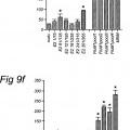 Ilustración 5 de Péptidos largos de 22-45 residuos de aminoácidos que inducen y/o mejoran las respuestas inmunológicas específicas para antígenos