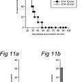 Ilustración 6 de Péptidos largos de 22-45 residuos de aminoácidos que inducen y/o mejoran las respuestas inmunológicas específicas para antígenos