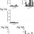 Ilustración 7 de Péptidos largos de 22-45 residuos de aminoácidos que inducen y/o mejoran las respuestas inmunológicas específicas para antígenos