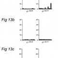 Ilustración 8 de Péptidos largos de 22-45 residuos de aminoácidos que inducen y/o mejoran las respuestas inmunológicas específicas para antígenos