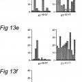 Ilustración 9 de Péptidos largos de 22-45 residuos de aminoácidos que inducen y/o mejoran las respuestas inmunológicas específicas para antígenos