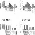 Ilustración 12 de Péptidos largos de 22-45 residuos de aminoácidos que inducen y/o mejoran las respuestas inmunológicas específicas para antígenos
