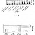 Ilustración 6 de Proteína específica del timo