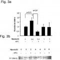 Ilustración 3 de La actividad neuroprotectora de la proteína C activada es independiente de su actividad anticoagulante