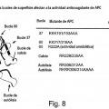 Ilustración 10 de La actividad neuroprotectora de la proteína C activada es independiente de su actividad anticoagulante