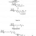 Ilustración 3 de Compuestos glicomiméticos como agentes antiinfecciosos frente a lectinas patógenas