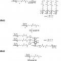 Ilustración 4 de Compuestos glicomiméticos como agentes antiinfecciosos frente a lectinas patógenas