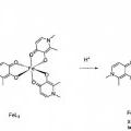 Ilustración 6 de Derivados fluorados de 3-hidroxipiridin-4-unos