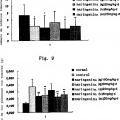 Ilustración 5 de Uso de naringenina y de naringina como inhibidores de la ruta de señalización del factor de crecimiento transformante beta1