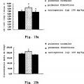 Ilustración 7 de Uso de naringenina y de naringina como inhibidores de la ruta de señalización del factor de crecimiento transformante beta1