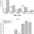 Ilustración 2 de Inhibición de metástasis tumoral usando anticuerpos anti-G-CSF.