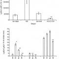 Ilustración 3 de Inhibición de metástasis tumoral usando anticuerpos anti-G-CSF.