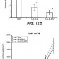 Ilustración 7 de Inhibición de metástasis tumoral usando anticuerpos anti-G-CSF