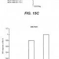 Ilustración 11 de Inhibición de metástasis tumoral usando anticuerpos anti-G-CSF