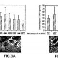 Ilustración 3 de SKI606 como inhibidor de la cinasa Src para el tratamiento de lesiones osteolíticas.
