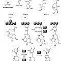 Ilustración 9 de Agrupación de genes de saxitoxina de cianobacterias y detección de organismos cianotóxicos