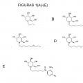 Ilustración 1 de Iminoazúcares para su uso en el tratamiento de enfermedades por bunyavirus y togavirus.