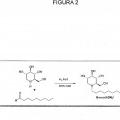Ilustración 2 de Iminoazúcares para su uso en el tratamiento de enfermedades por bunyavirus y togavirus