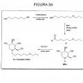 Ilustración 3 de Iminoazúcares para su uso en el tratamiento de enfermedades por bunyavirus y togavirus