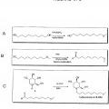 Ilustración 5 de Iminoazúcares para su uso en el tratamiento de enfermedades por bunyavirus y togavirus