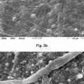 Ilustración 5 de Proceso para la producción de geles de celulosa nanofibrilar
