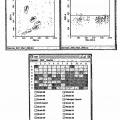 Ilustración 12 de Detección del virus del papiloma humano (VPH) usando sondas de ácidos nucleicos, microperlas y clasificadores celulares activados por fluorescencia (FACS)