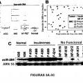 Ilustración 3 de Anomalías de la expresión de microARN en tumores pancreáticos endocrinos y acinares