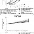 Ilustración 1 de Anticuerpos anti-cd79b e inmunoconjugados y métodos de uso.