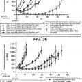 Ilustración 2 de Anticuerpos anti-cd79b e inmunoconjugados y métodos de uso.