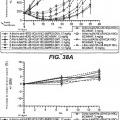 Ilustración 3 de Anticuerpos anti-cd79b e inmunoconjugados y métodos de uso.
