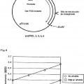 Ilustración 4 de Composición para el análisis de proteínas glicosiladas.