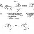 Ilustración 6 de Novedosos compuestos farmacéuticos de liberación sostenida para prevenir el abuso de sustancias controladas