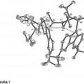 Ilustración 7 de Complejos de metales del grupo IIIb con ligandos basados en fluorenilo con ¿geometría restringida¿