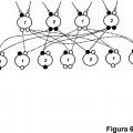 Ilustración 6 de Método y dispositivo para la disposición de pares en redes superpuestas P2P de carga de secuencia única