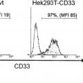 Ilustración 2 de Anticuerpos anti-CD33 y su aplicación para el inmunotargeting en el tratamiento de enfermedades asociadas a CD33.