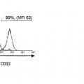 Ilustración 4 de Anticuerpos anti-CD33 y su aplicación para el inmunotargeting en el tratamiento de enfermedades asociadas a CD33.