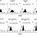 Ilustración 7 de Anticuerpos anti-CD33 y su aplicación para el inmunotargeting en el tratamiento de enfermedades asociadas a CD33