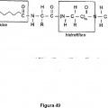 Ilustración 8 de Método para producir un éster de carbohidrato