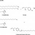 Ilustración 9 de Método para producir un éster de carbohidrato