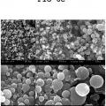 Ilustración 7 de Procedimiento para la obtención de micro- o nanopartículas sólidas