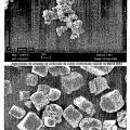 Ilustración 2 de Material en forma de partículas que comprende un compuesto que contiene calcio y un alcohol de azúcar.