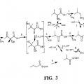 Ilustración 5 de Identificación y uso de [2Fe-2S]-dihidroxi-ácido deshidratasas bacterianas